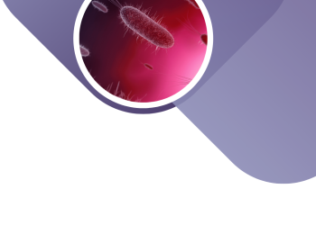 Helicobacter pylori и синдром повышенной эпителиальной проницаемости (СПЭП).