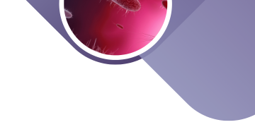 Helicobacter pylori и синдром повышенной эпителиальной проницаемости (СПЭП).