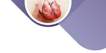 Риски сердечно-сосудистых катастроф при НАЖБП.